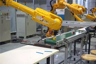 工業(yè)機(jī)器人培訓(xùn)與就業(yè)前景 大數(shù)據(jù)揭秘行業(yè)趨勢與智能機(jī)器人研發(fā)機(jī)遇